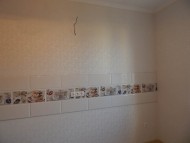2_12_dscn1904