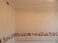 2_15_dscn1911