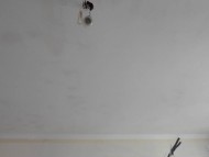 2_20_dscn1918