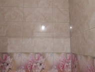 2_24_dscn1931