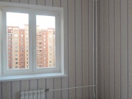 2_28_dscn1950